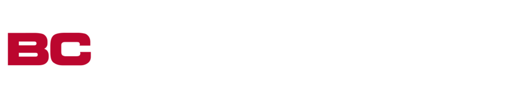 Baltic Control-logo